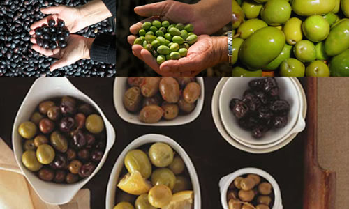 We trade in Australian Extra Virgin oil and Olive Oil for soap making.